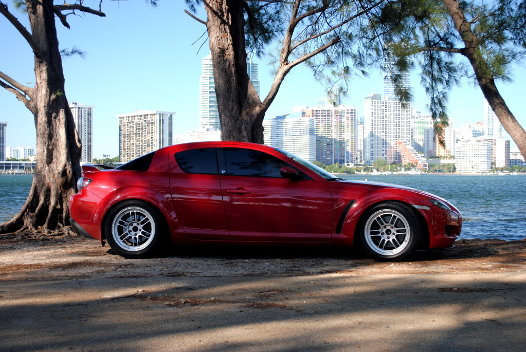 Name:  DSC_0035.jpg
Views: 511
Size:  254.5 KB