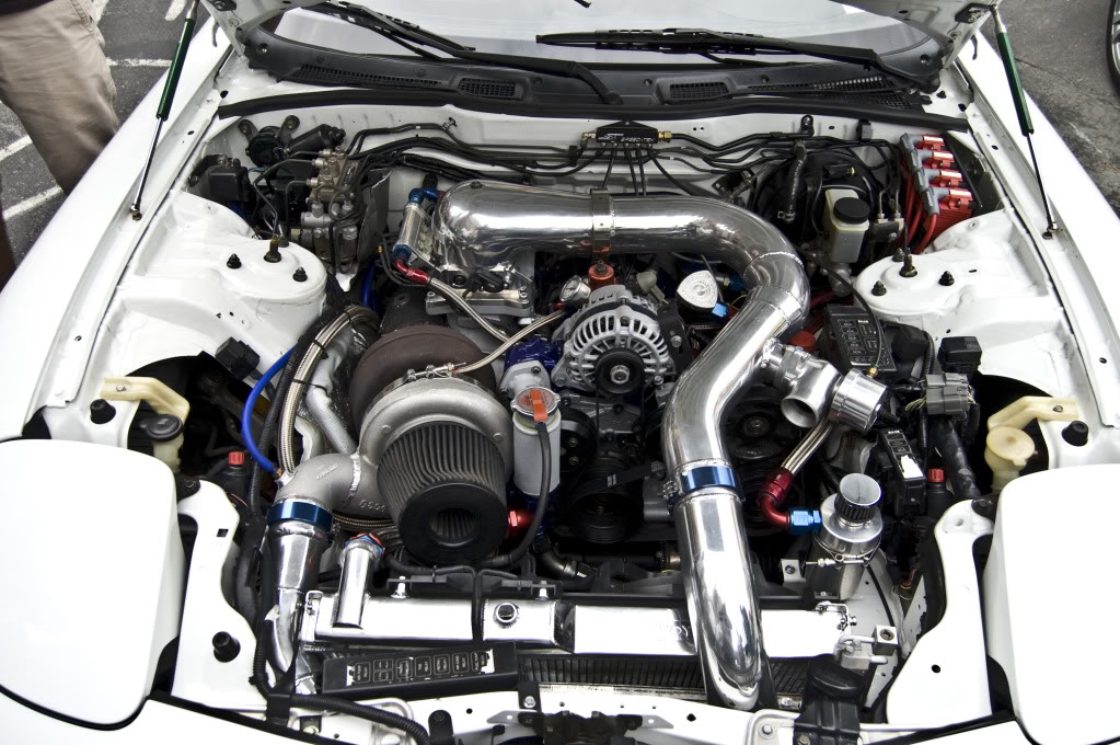 Name:  DSC_2990.jpg
Views: 96
Size:  171.9 KB