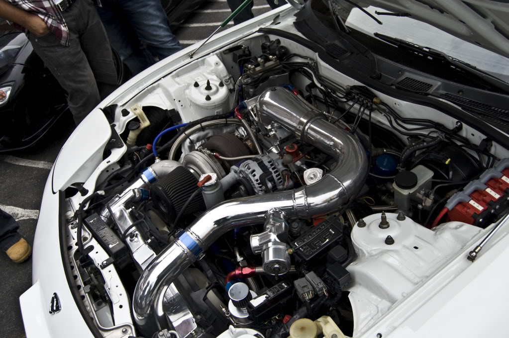 Name:  DSC_2987.jpg
Views: 94
Size:  162.0 KB