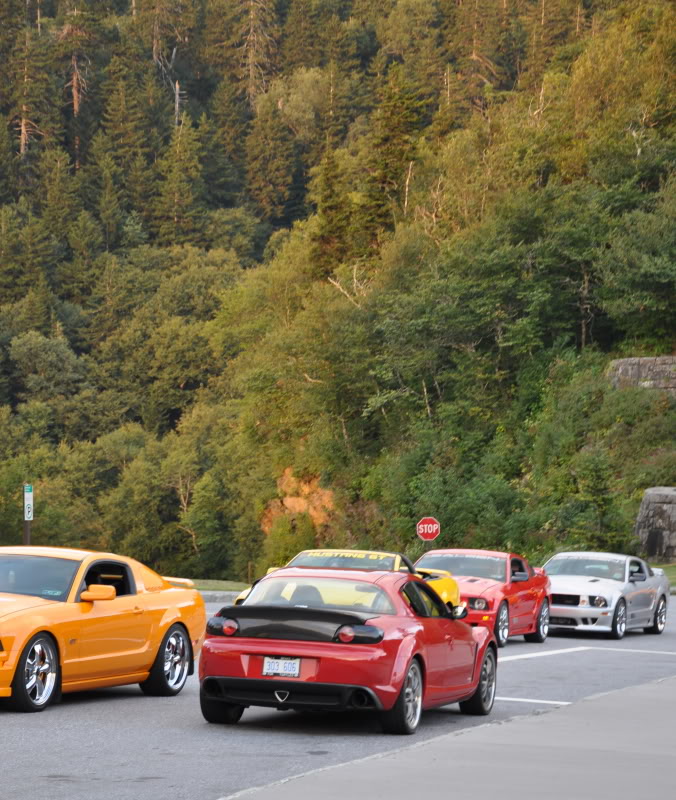 Name: Mustang06.jpg
Views: 64
Size: 136.5 KB