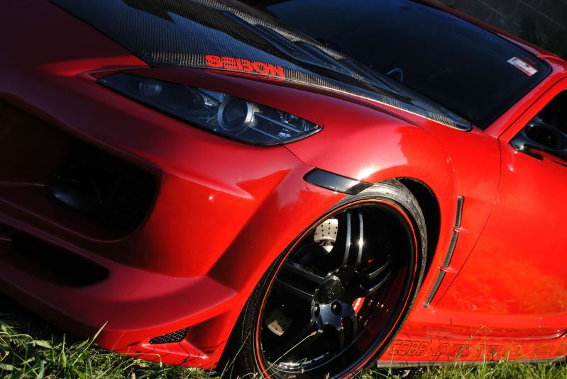 Name: DSC_0017-edit.jpg
Views: 97
Size: 127.5 KB