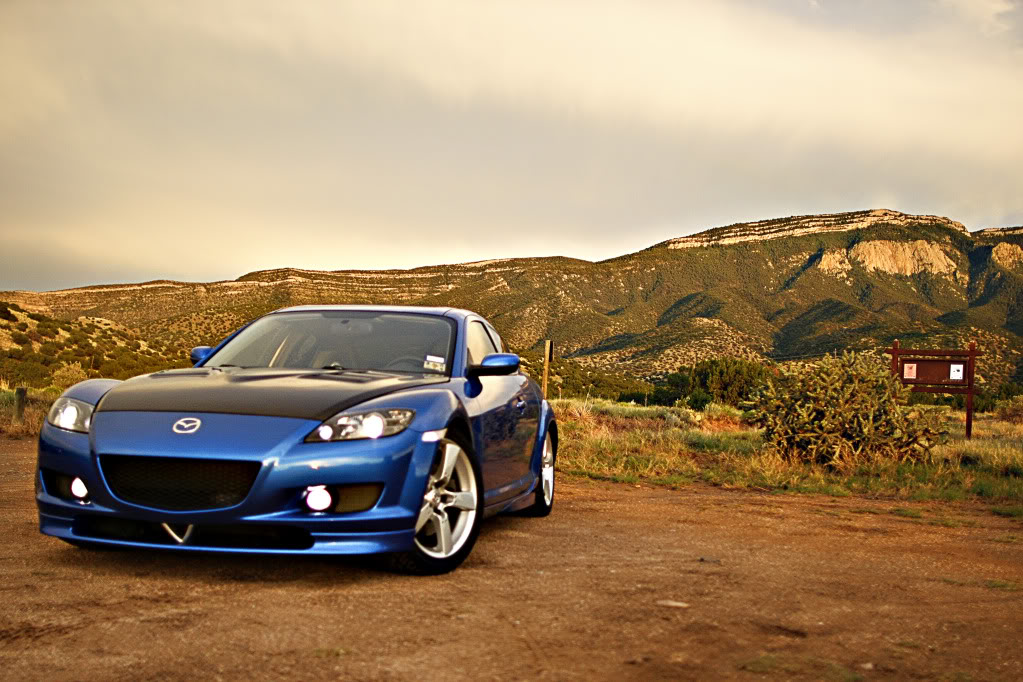 Name:  _MG_4550.jpg
Views: 66
Size:  158.4 KB