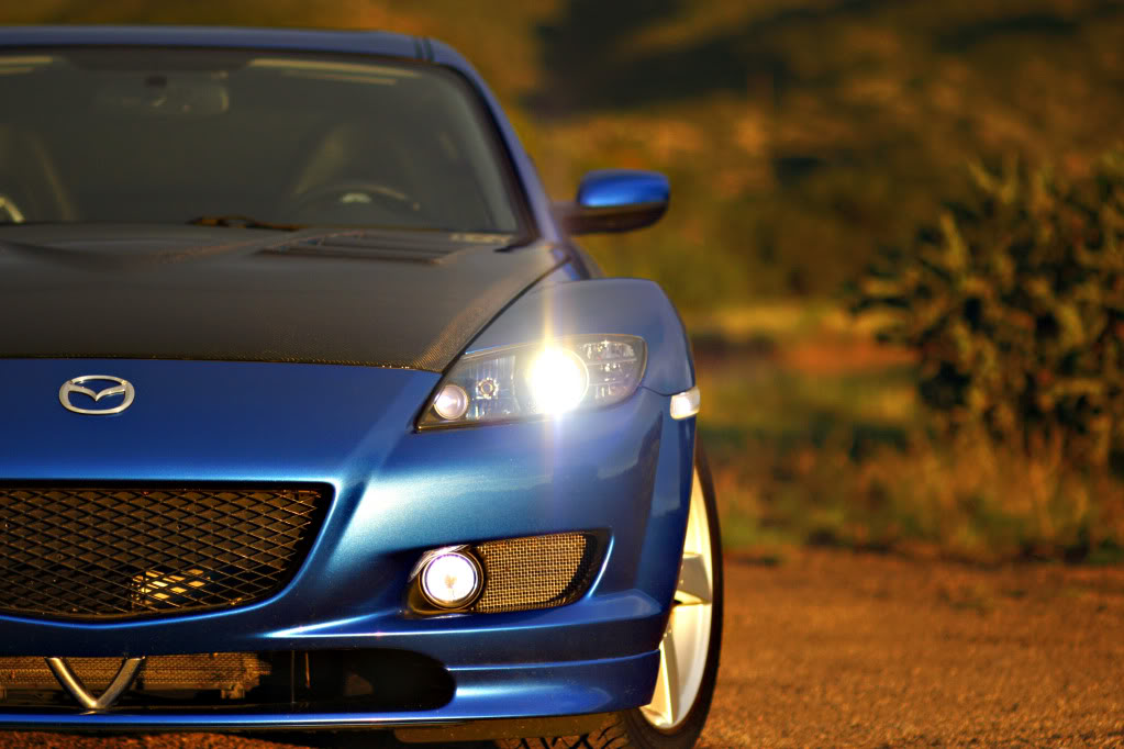 Name:  _MG_4523.jpg
Views: 42
Size:  94.1 KB