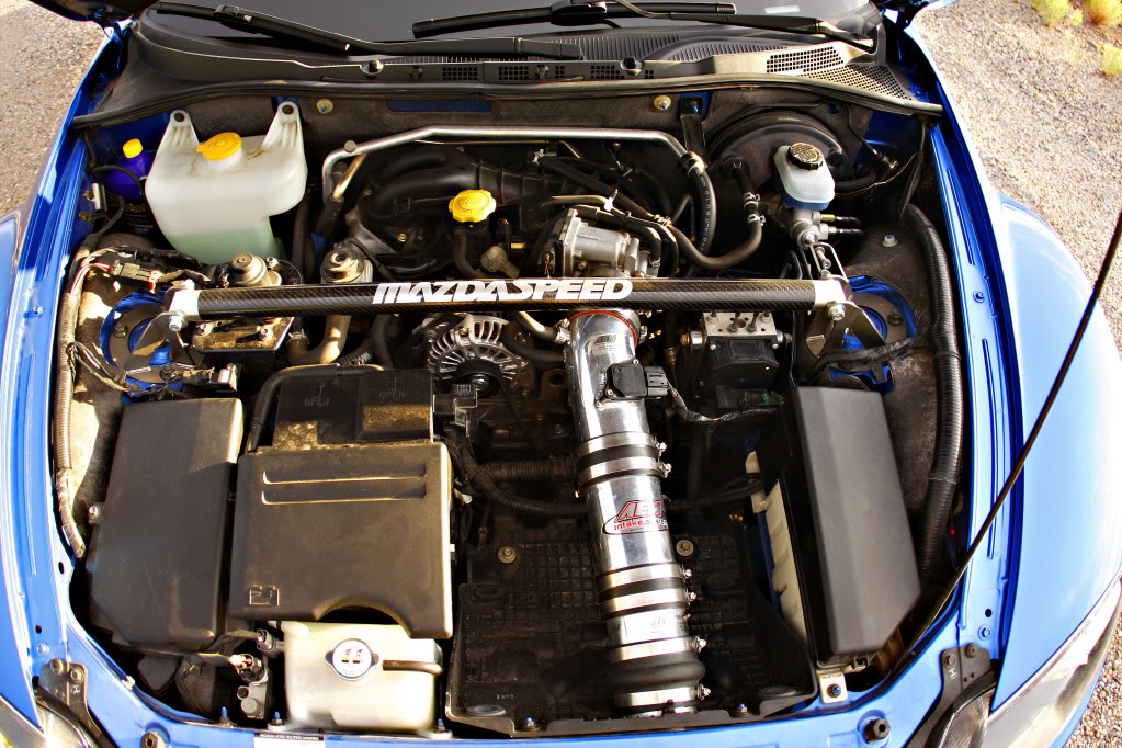 Name:  _MG_4508.jpg
Views: 49
Size:  201.1 KB