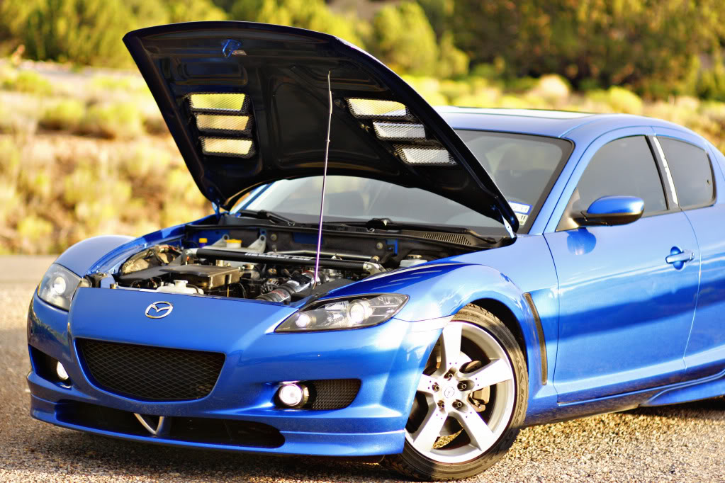 Name:  _MG_4507.jpg
Views: 54
Size:  161.5 KB