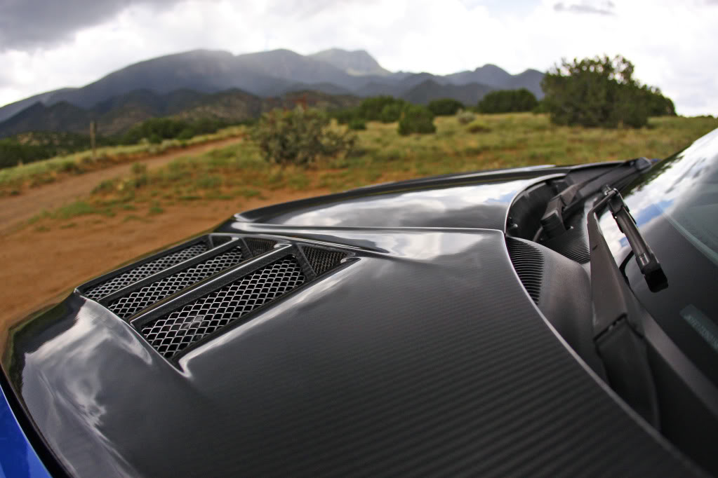 Name:  _MG_4472.jpg
Views: 53
Size:  85.9 KB