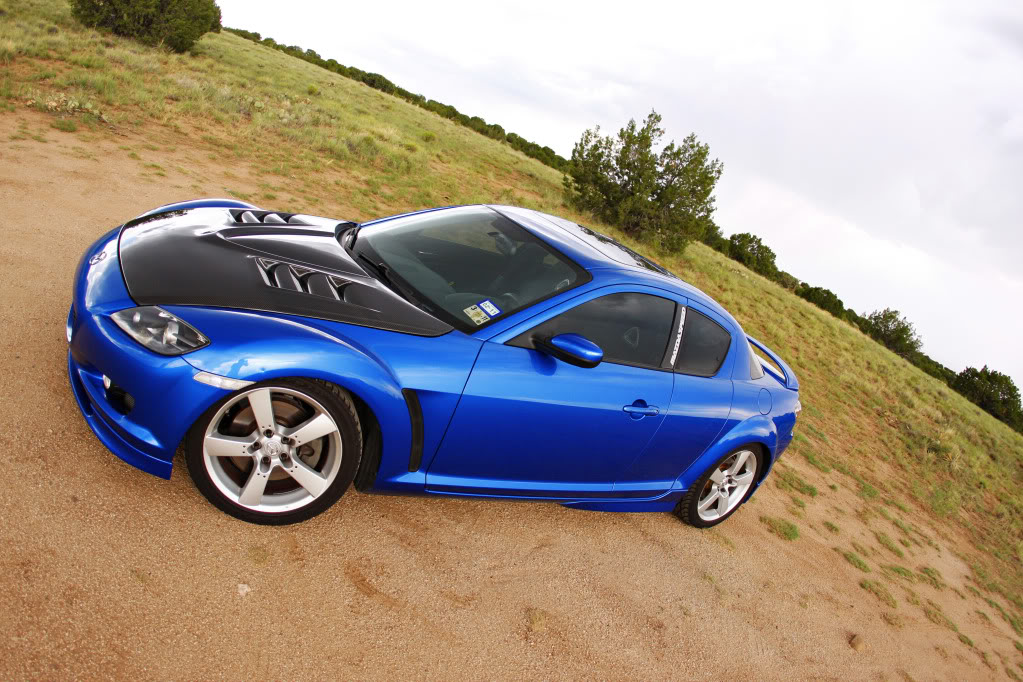 Name:  _MG_4471.jpg
Views: 58
Size:  180.7 KB