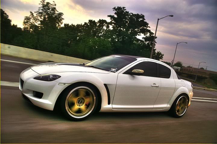 Name:  38825_521228350050_299900980_736539_7911542_n.jpg
Views: 41
Size:  63.5 KB