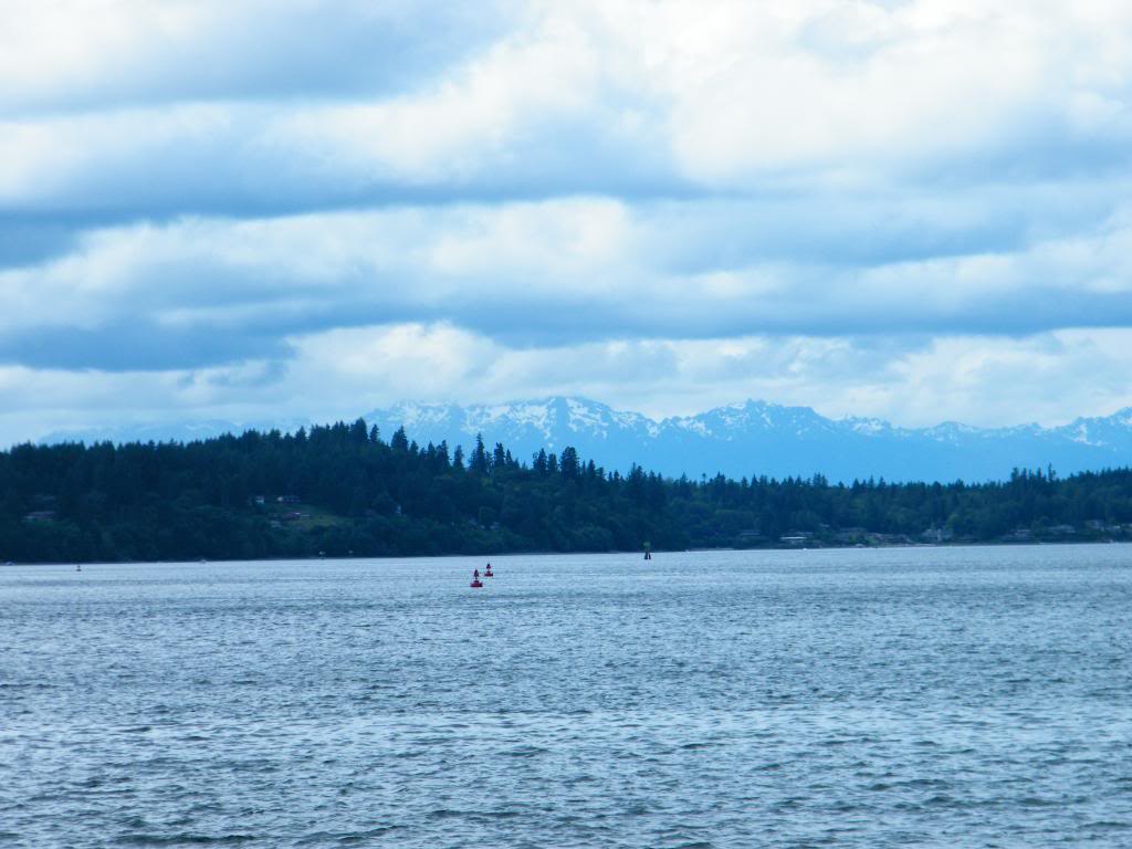 Name:  DSCF3001.jpg
Views: 339
Size:  92.4 KB