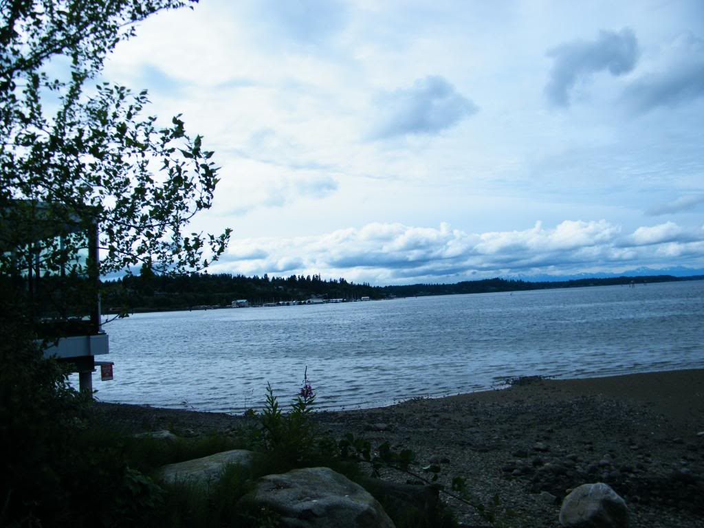 Name:  DSCF2996.jpg
Views: 317
Size:  110.8 KB