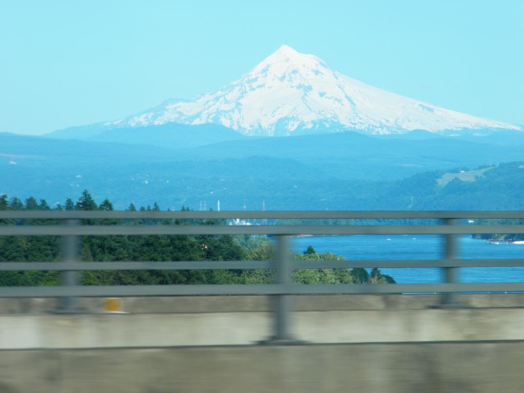 Name:  DSCF2956.jpg
Views: 338
Size:  54.7 KB