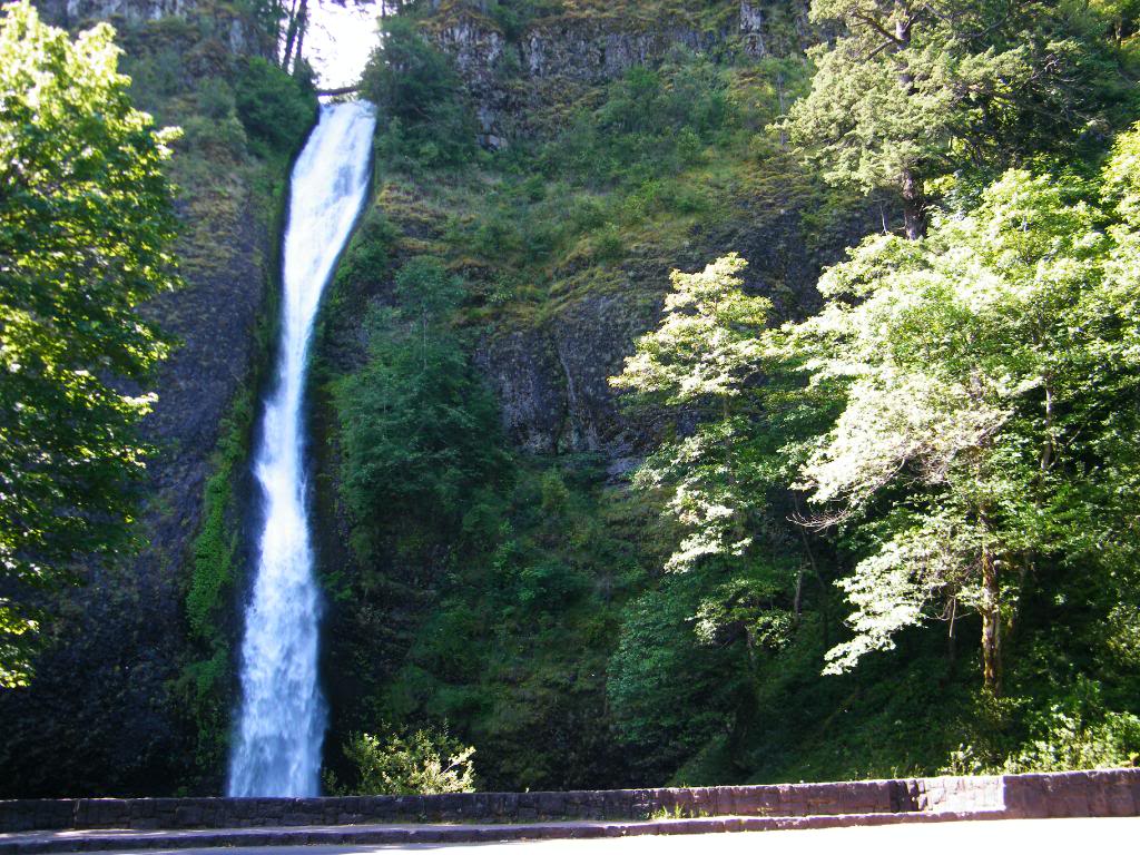 Name:  DSCF2966.jpg
Views: 363
Size:  208.0 KB