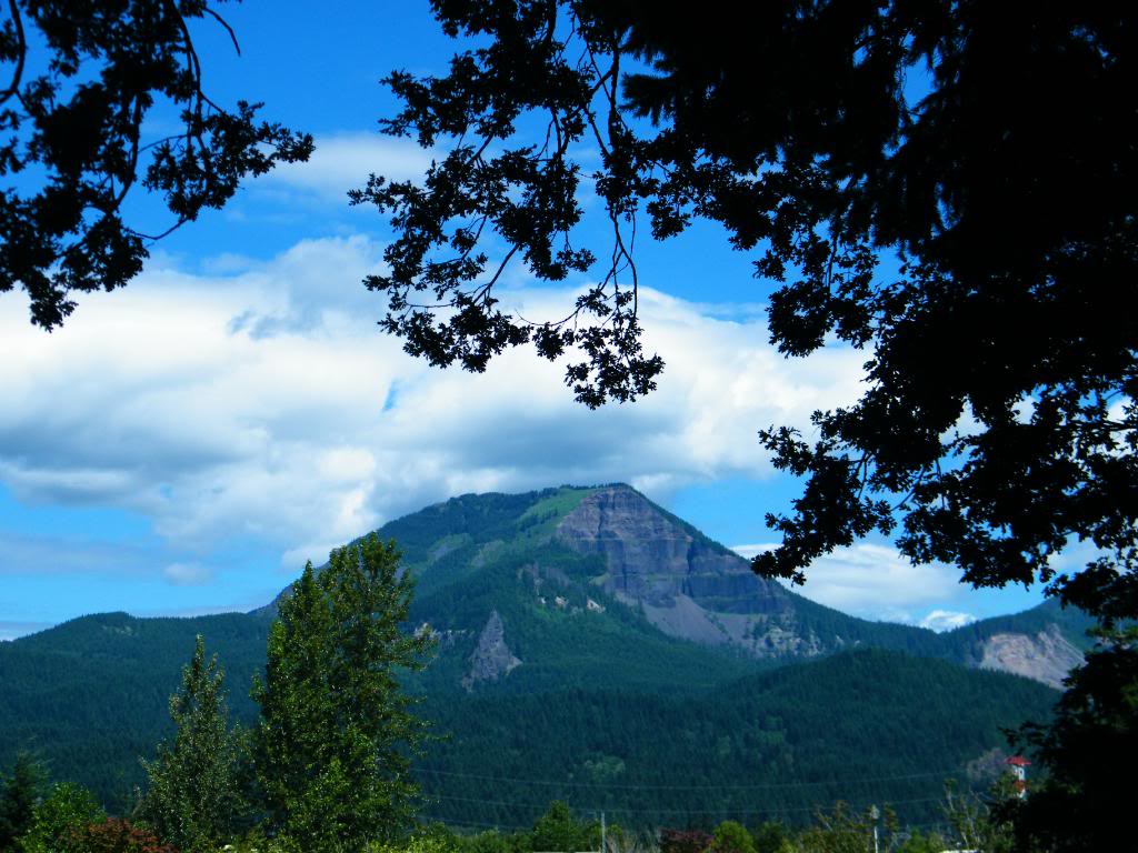 Name:  DSCF2989.jpg
Views: 320
Size:  138.7 KB