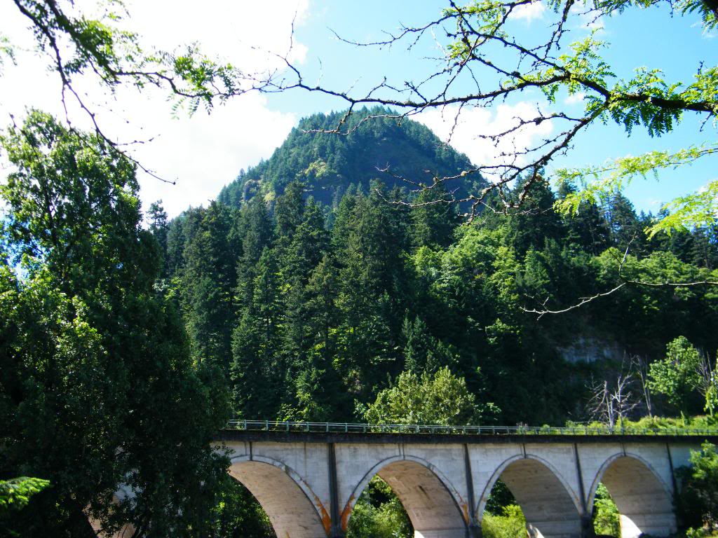 Name:  DSCF2992.jpg
Views: 336
Size:  196.3 KB