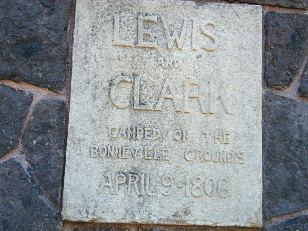 Name:  DSCF2993.jpg
Views: 350
Size:  170.4 KB