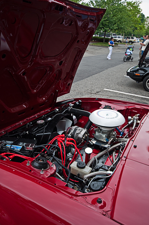 Name:  DSC_0281copy.jpg
Views: 59
Size:  342.1 KB