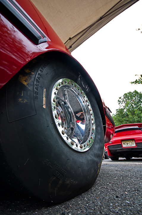 Name:  DSC_0255copy.jpg
Views: 90
Size:  290.6 KB
