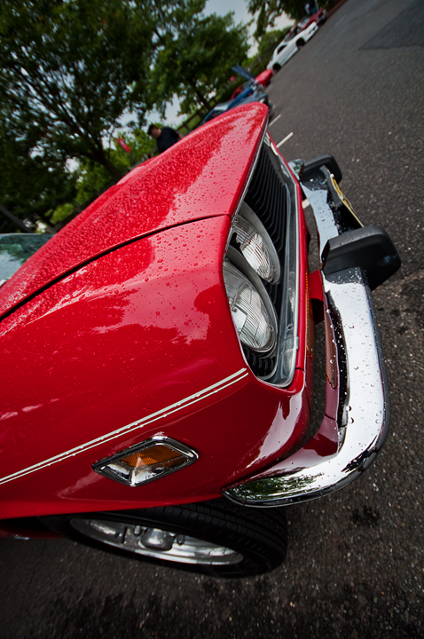 Name:  DSC_0237copy.jpg
Views: 110
Size:  379.5 KB