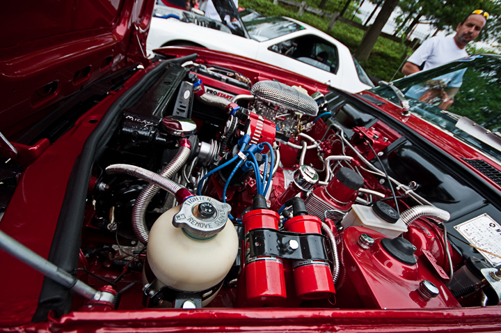 Name:  DSC_0222.jpg
Views: 52
Size:  390.6 KB