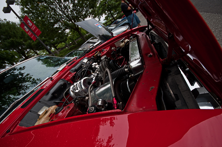 Name:  DSC_0203.jpg
Views: 158
Size:  322.2 KB