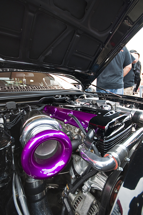Name: DSC_0936copy.jpg
Views: 56
Size: 322.5 KB