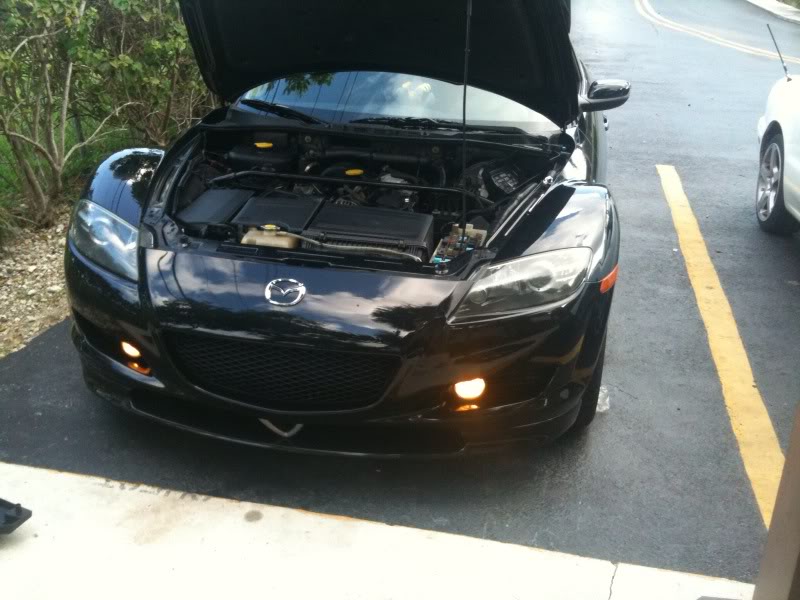 Name:  photo9.jpg
Views: 70
Size:  78.6 KB