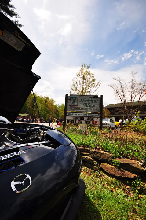 Name:  DSC_0247copy-1.jpg
Views: 41
Size:  94.5 KB