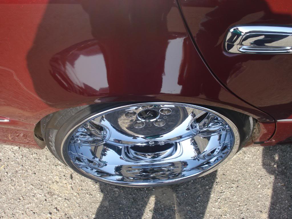 Name:  DSC05874.jpg
Views: 38
Size:  133.0 KB