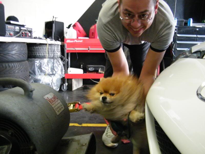 Name: DSCF2227.jpg
Views: 195
Size: 60.3 KB
