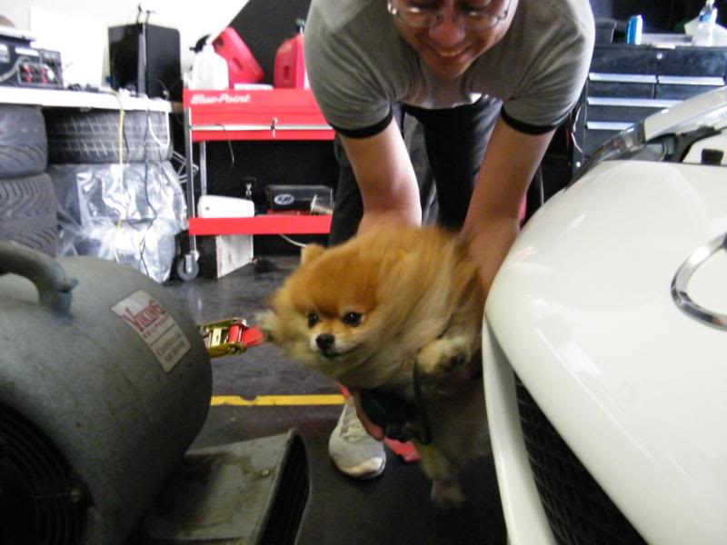 Name: DSCF2226.jpg
Views: 206
Size: 57.3 KB