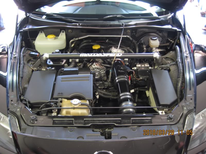 Name:  100328-1105-43.jpg
Views: 29
Size:  88.0 KB