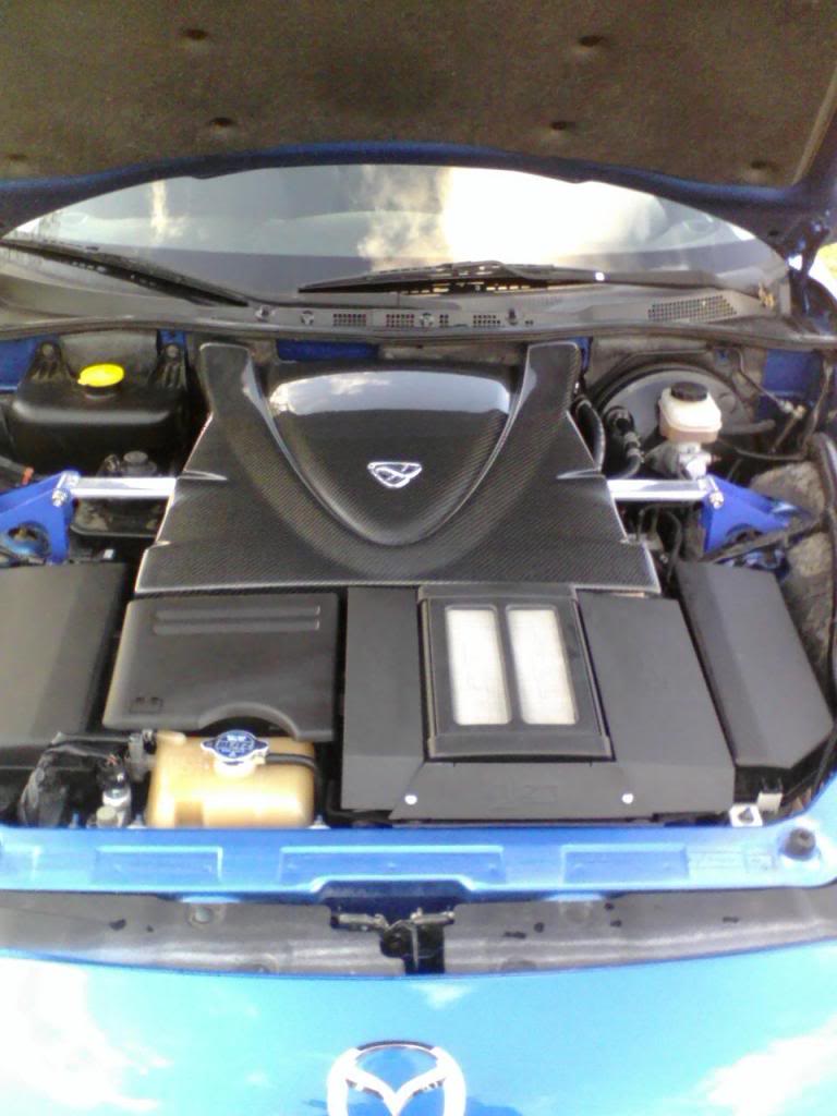 Name:  enginebay.jpg
Views: 231
Size:  77.4 KB