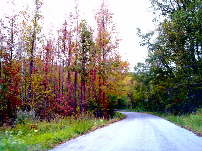 Name: 10122009276.jpg
Views: 82
Size: 186.5 KB