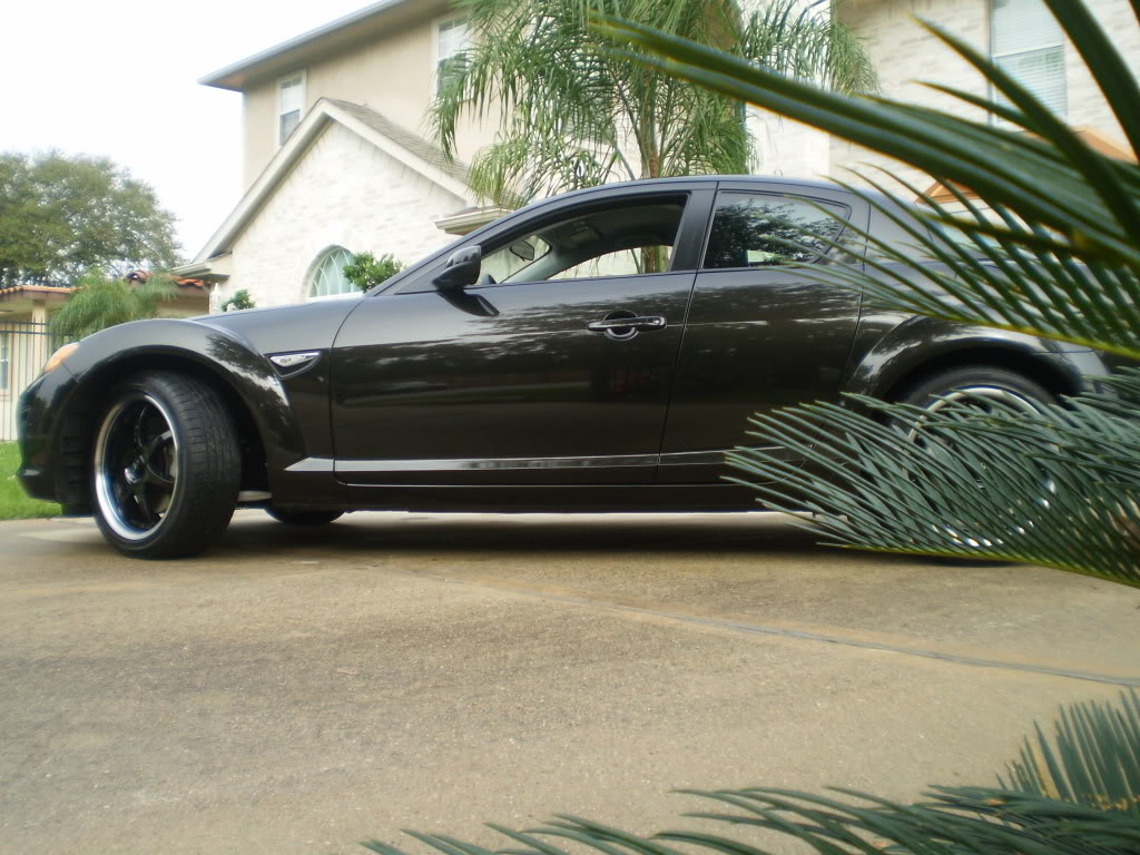 Name: PA110460.jpg
Views: 58
Size: 163.9 KB