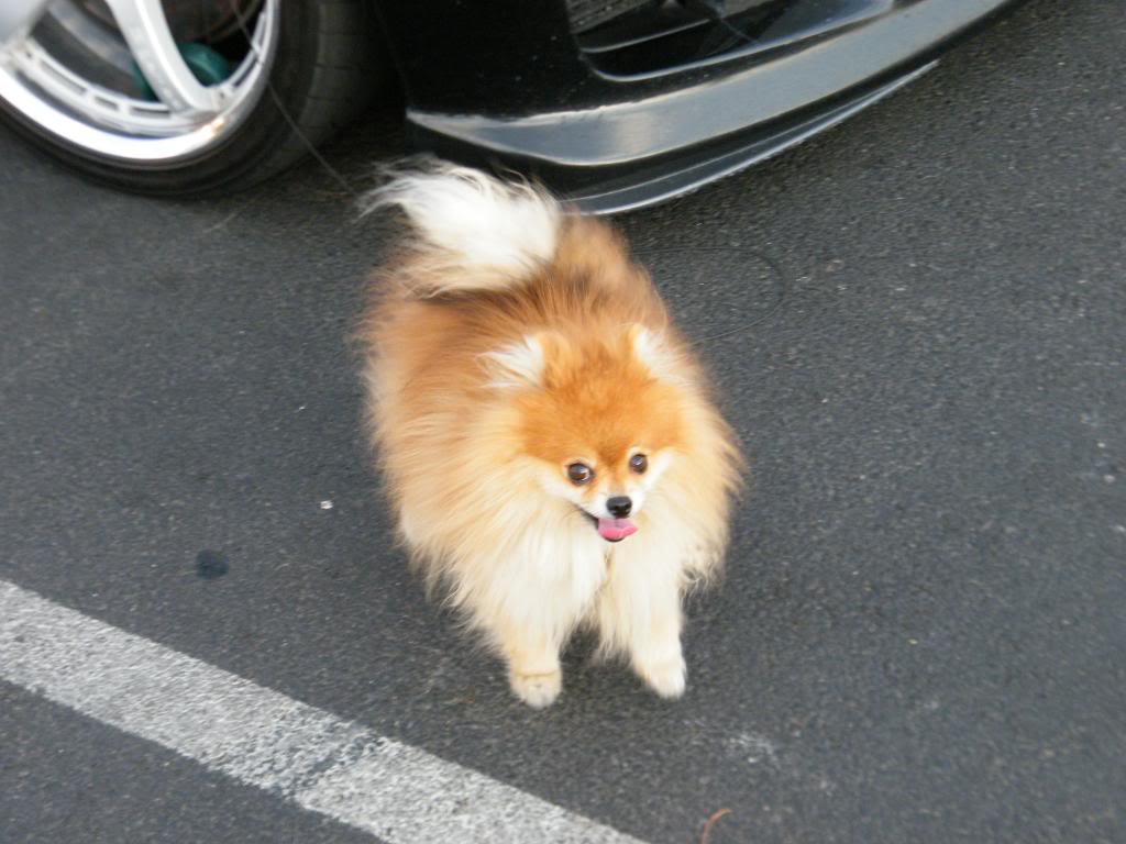 Name: WhatHappensinVegas2009008.jpg
Views: 62
Size: 91.7 KB