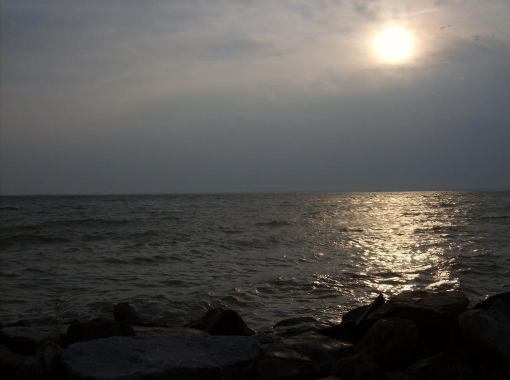 Name: CrabMeet07-25-09036.jpg
Views: 37
Size: 59.8 KB