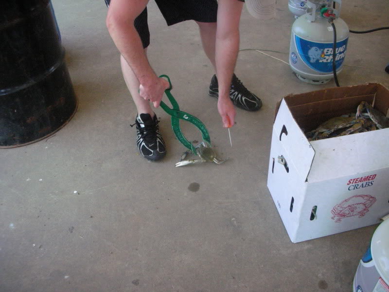 Name:  DSCN2129.jpg
Views: 55
Size:  101.0 KB