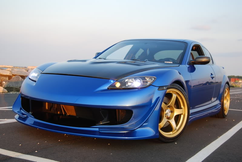 Name:  DSC_0594.jpg
Views: 117
Size:  86.8 KB