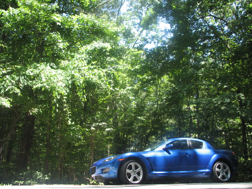 Name:  IMG_0003.jpg
Views: 133
Size:  321.7 KB