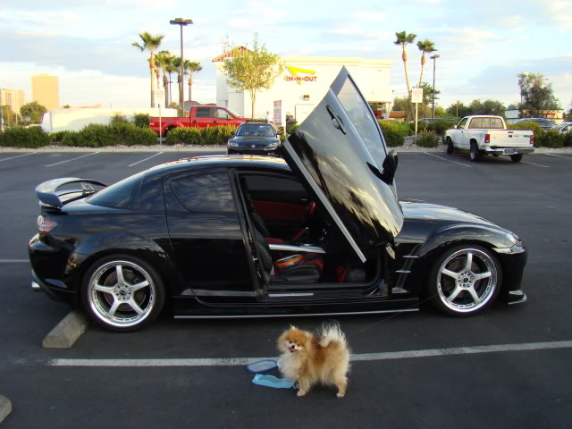 Name: rx8vegastrip051.jpg
Views: 70
Size: 67.9 KB