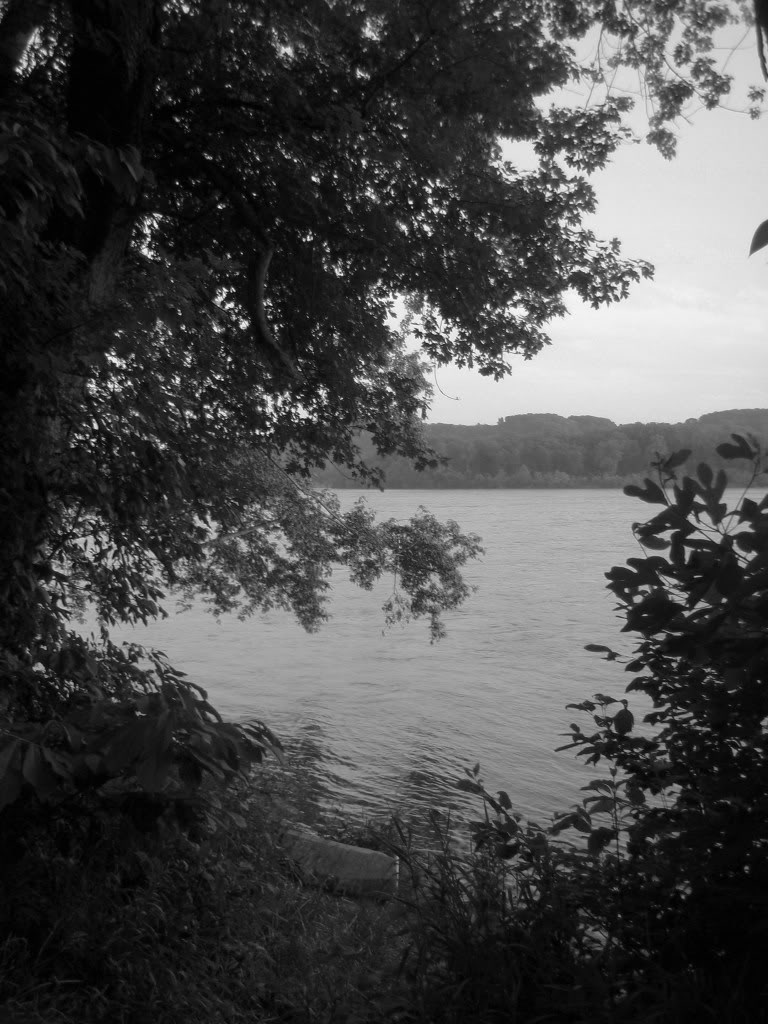 Name:  P1010492-1.jpg
Views: 68
Size:  157.4 KB