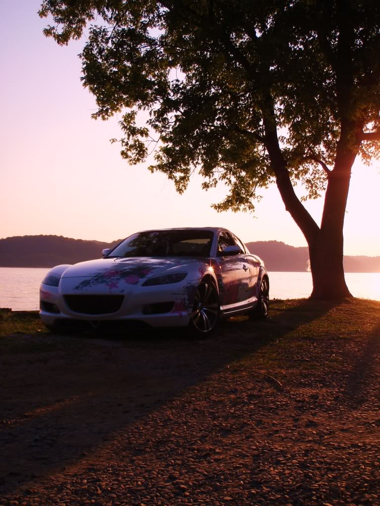 Name:  P1010456-1.jpg
Views: 80
Size:  169.6 KB