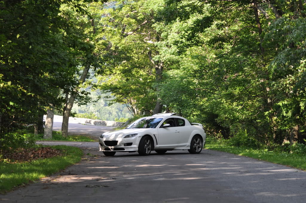 Name:  DSC_0043.jpg
Views: 88
Size:  282.1 KB
