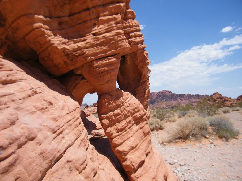 Name:  WhatHappensinVegas2009081.jpg
Views: 92
Size:  99.5 KB