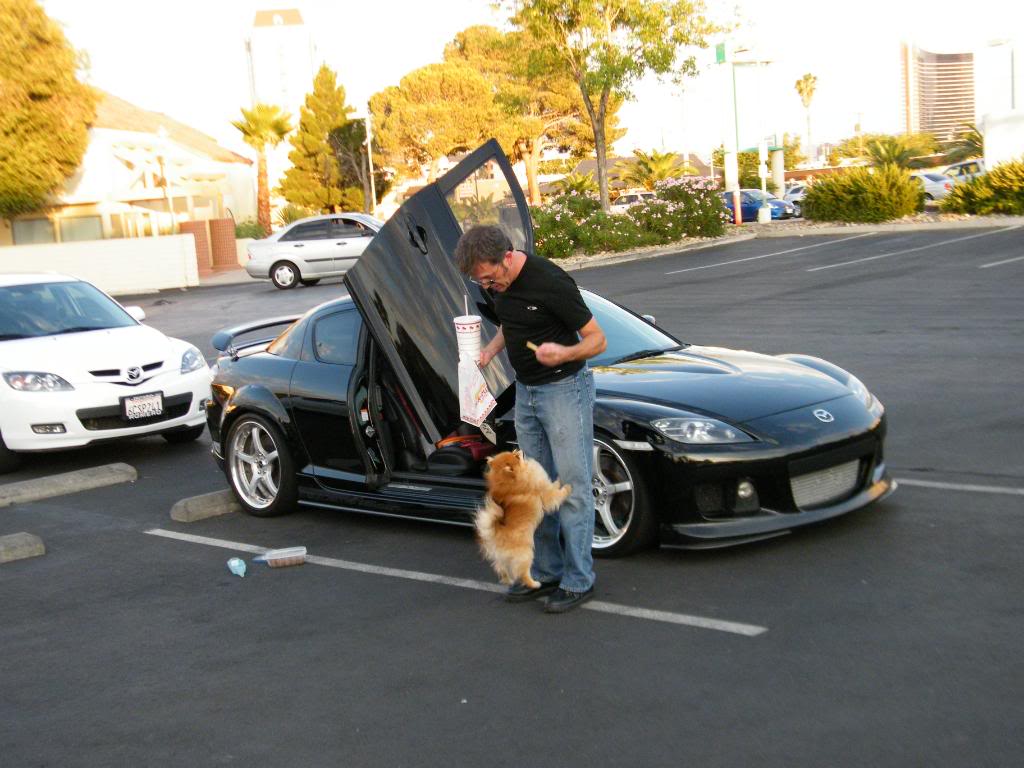 Name:  WhatHappensinVegas2009036.jpg
Views: 90
Size:  106.9 KB