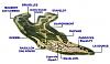 23rd OCT. : TRACK-DAY at SPA-FRANCORCHAMPS-spa-francorchamps_circuit.jpg