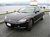 Shinka Pics-stanley-park-04.jpg