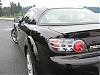 Shinka Pics-stanley-park-06.jpg
