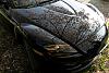 Spring has come.-cherry_8-02.jpg