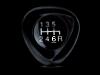 New pics by the beach-shift-knob-black.jpg